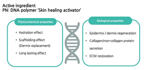 active ingredient PN : DNA polymer \